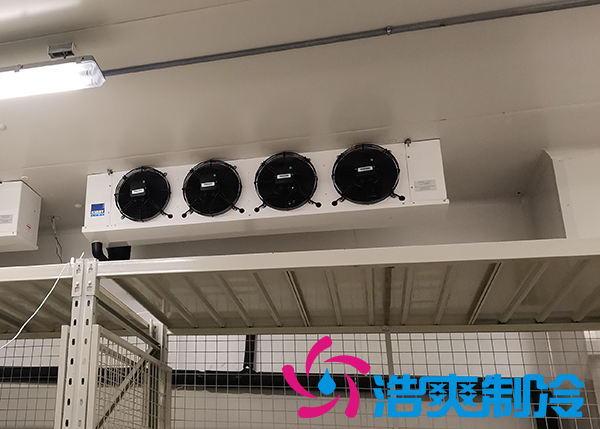 建造-30~-80℃超低溫血漿蛋白冷凍庫需要花費多少價格？