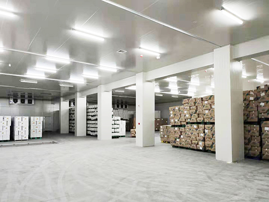 深圳華大基因2720立方米實(shí)驗(yàn)室冷庫(kù)建造工程