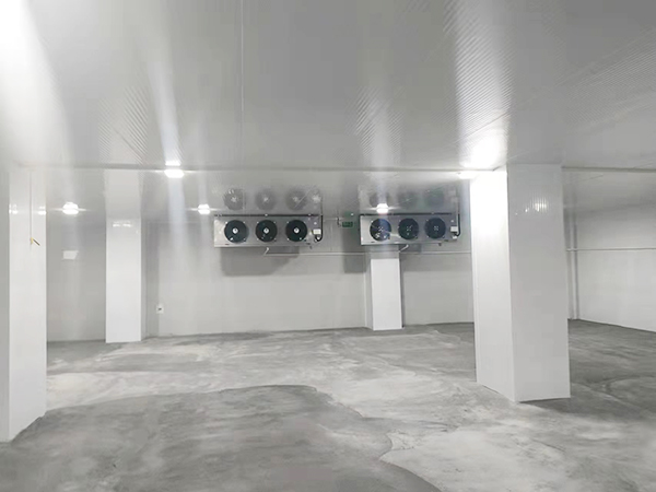 醫(yī)藥冷庫建造標準,醫(yī)療冷藏庫溫度要求