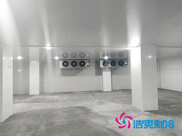 醫(yī)用疫苗冷庫(kù)建造安裝全套設(shè)備報(bào)價(jià)多少錢？