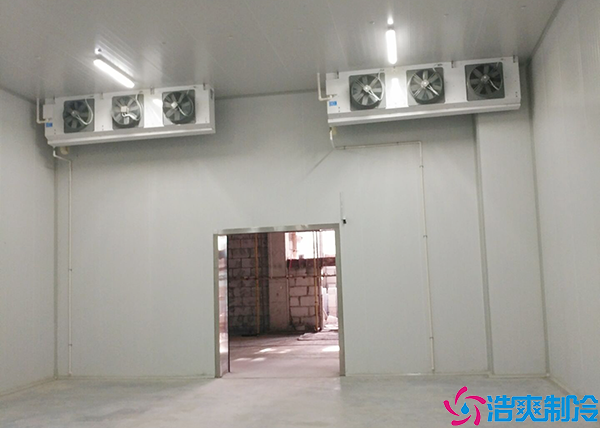  慶陽中型血漿冷庫設(shè)計建造