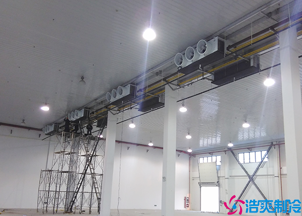  烏魯木齊血漿冷庫設(shè)計建造