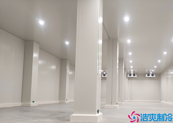  深圳GSP醫(yī)藥冷庫(kù)維修服務(wù)中心：為醫(yī)藥行業(yè)提供穩(wěn)定可靠的維修保障