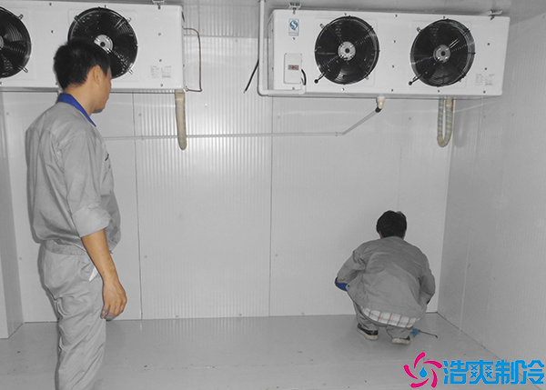  郴州醫(yī)藥冷凍庫(kù)維修養(yǎng)護(hù)電話
