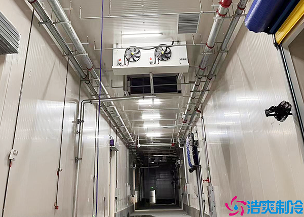  張家界藥品冷藏庫批發(fā)市場價(jià)格查詢