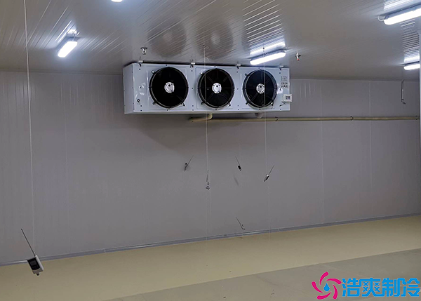  江西小型醫(yī)療冷庫造價多少錢一平方？