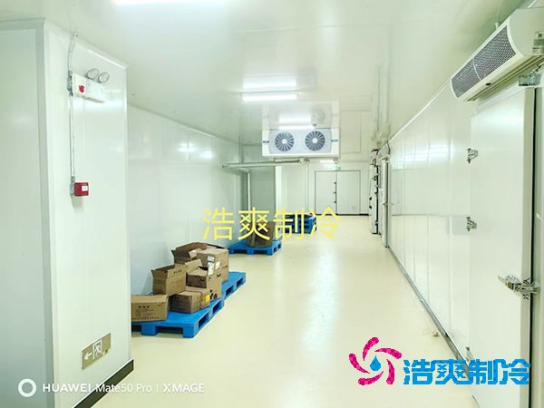  醫(yī)藥冷庫安裝價格受哪些關(guān)鍵因素影響？