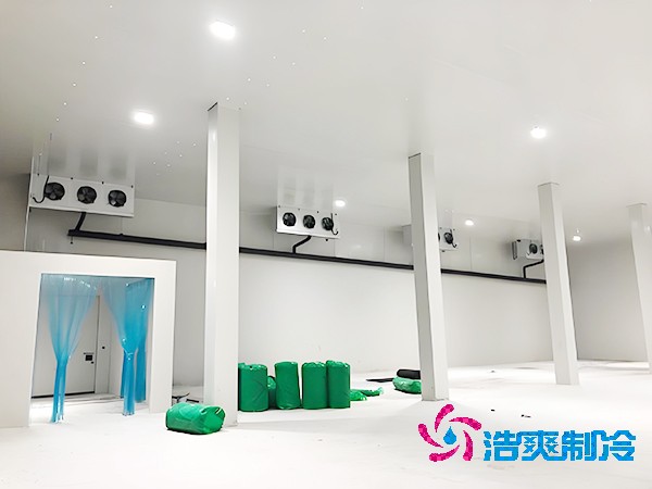 醫(yī)藥冷凍庫的安裝特性有哪些？