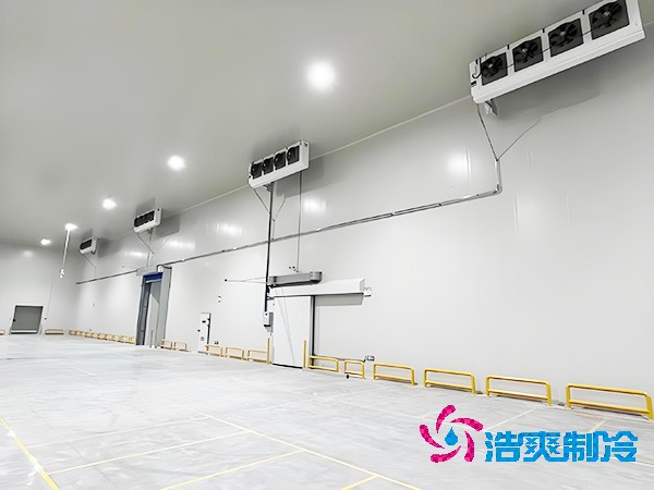 建設大型醫(yī)藥疫苗冷庫的設計規(guī)范與要求