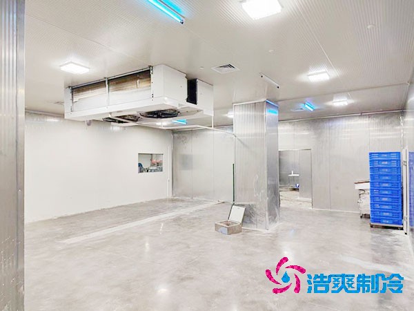 建設大型醫(yī)藥疫苗冷庫的設計規(guī)范與要求
