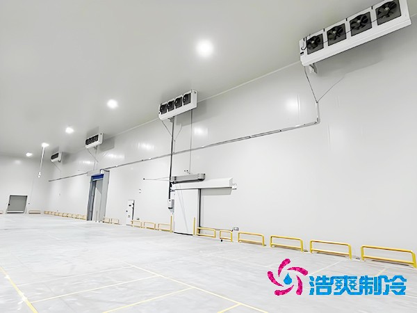  建設(shè)大型醫(yī)藥疫苗冷庫的設(shè)計規(guī)范與要求