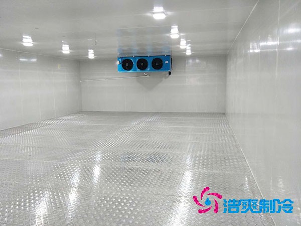小型醫(yī)藥冷庫(kù)建造設(shè)計(jì)規(guī)劃
