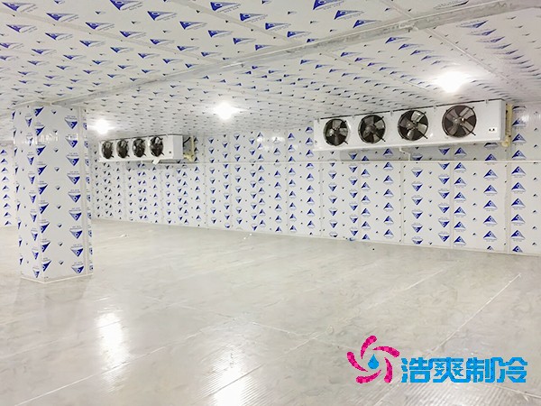 醫(yī)藥生物冷庫建造費用