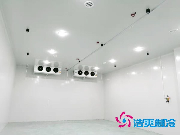醫(yī)藥冷庫全方位設(shè)計安裝解析