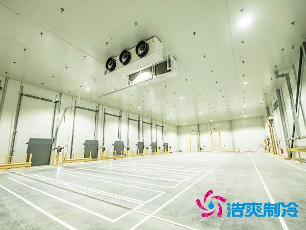 2025年全國醫(yī)藥冷庫造價解析與投資指南！