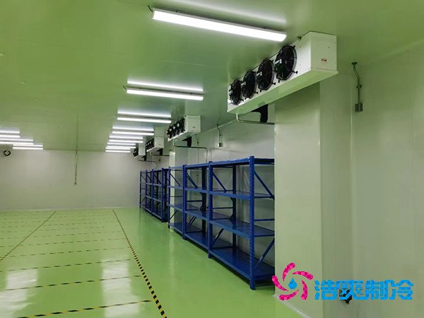 國內(nèi)知名試劑冷庫設(shè)計(jì)安裝廠家