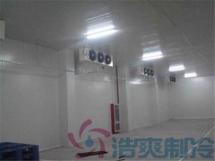  建設(shè)100平方醫(yī)藥疫苗冷藏庫造價(jià)費(fèi)用是多少？